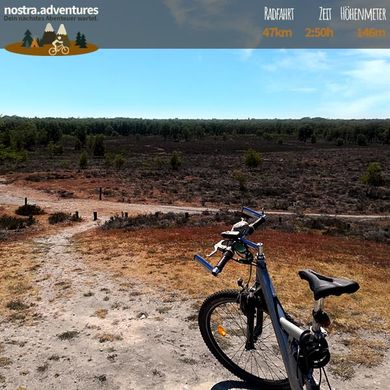 Maasduinen in Wellerlooi