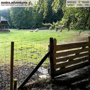 Herbstwanderung in den Niederlanden