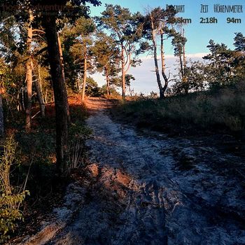 Mein favorite MTB Downhill :)