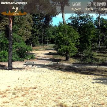 Letzte Sanddüne bei unserer MTB-Tour vorm Reindersmeer