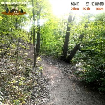 MTB Tour durch die Wälder von Arcen