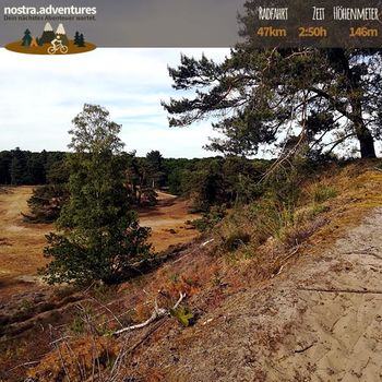 Herausforderung durch sandige Trails in der Bosserheide