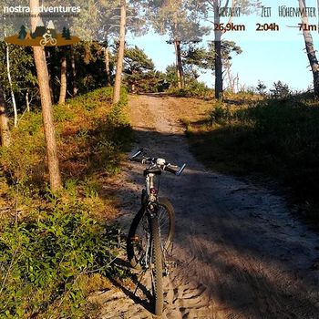 MTB in Wellerlooi in den Maasduinen