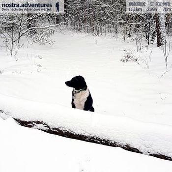 Wandern im Winterwonderland