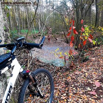 Mountainbiken in den Trails von Klein-Vink