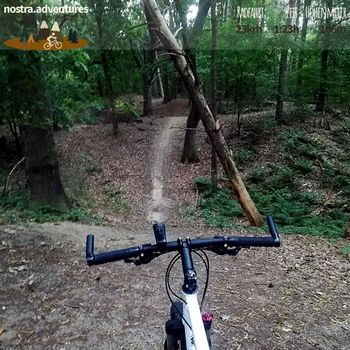 Trais and Hills im Walbecker Wald