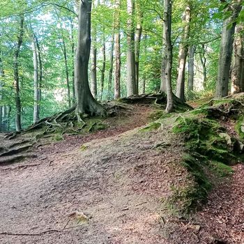 Cooles Gelände im Rambachtal
