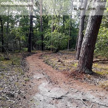 Trail im Wald von Wellerlooi