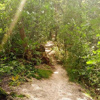 Graveln durch schmale Trails
