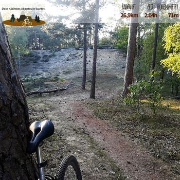 MTB durch den Maasduinen in Wellerlooi