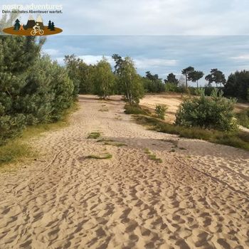 Hier würde man am liebsten barfuß durch wandern