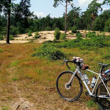 Graveln in den Maasduinen