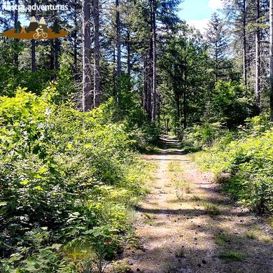 Wandern im Lingsforter Wald bis nach Arcen an die Maas.