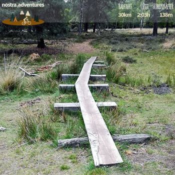 Mountainbike-Tour in den Maasduinen von Lingsfort bis Velden