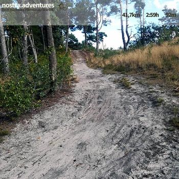 Cooler Sandtrail am Ende des Gebieet von de Hamert