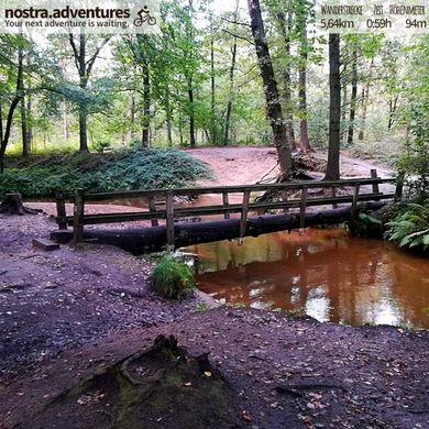 Herbstwanderung im Landgoed Geijsteren