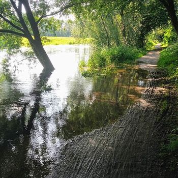 Gravels am Nierspfad