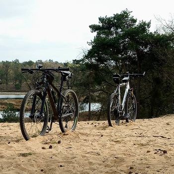 MTB-Tour mit Gastbiker im April am de Witte Berg