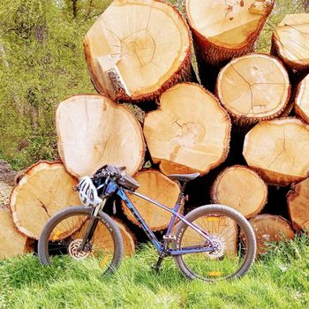 Trek roscoe bikepacking 2025