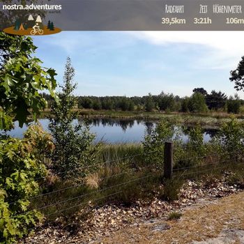Blick auf den Teich in den Maasduinen