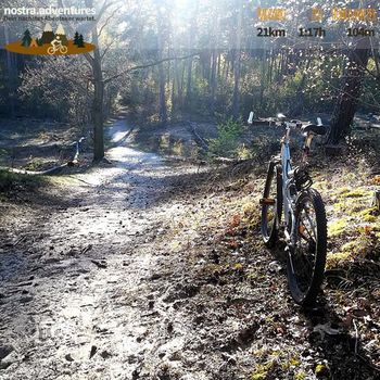 Heute bin ich mal auf Tempo machen mit dem Bike unterwegs