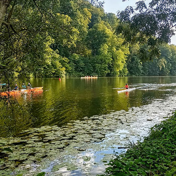 Graveln oder Rennrad fahren am Baldeneysee. 
